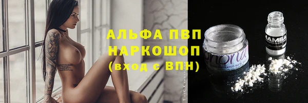 гидра Карталы