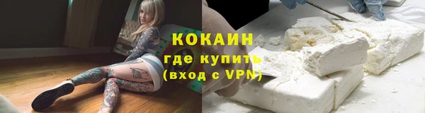дживик Каменногорск
