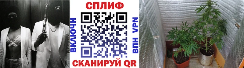shop телеграм  Клин  Конопля план 